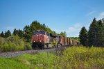 CN 402 at Chemin Salomon-Gagne